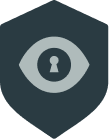 Surveillance-icon-1